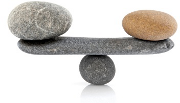 Assess the balance sheet Assess the balance sheet