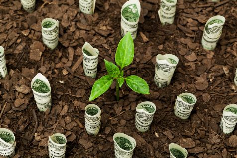 Green Finance adopt sustainable practices