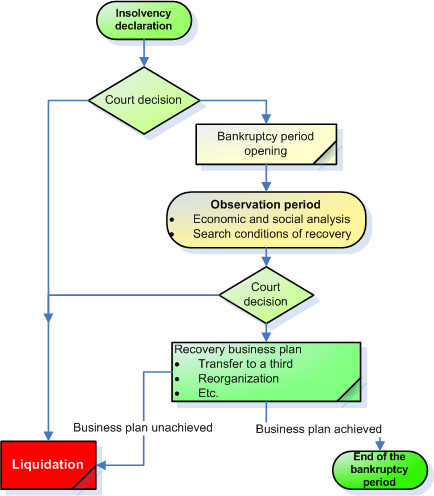 Bankruptcy process bankruptcy