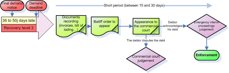 emergency interim proceedings
