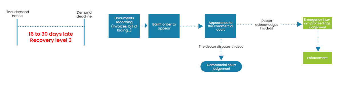 emergency interim proceedings