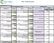 P&L financial ratios
